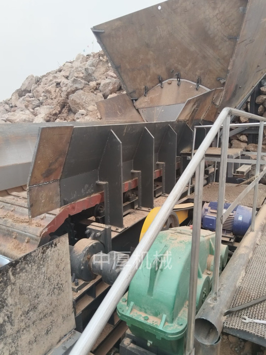 1736413831144884.jpg 金5.jpg